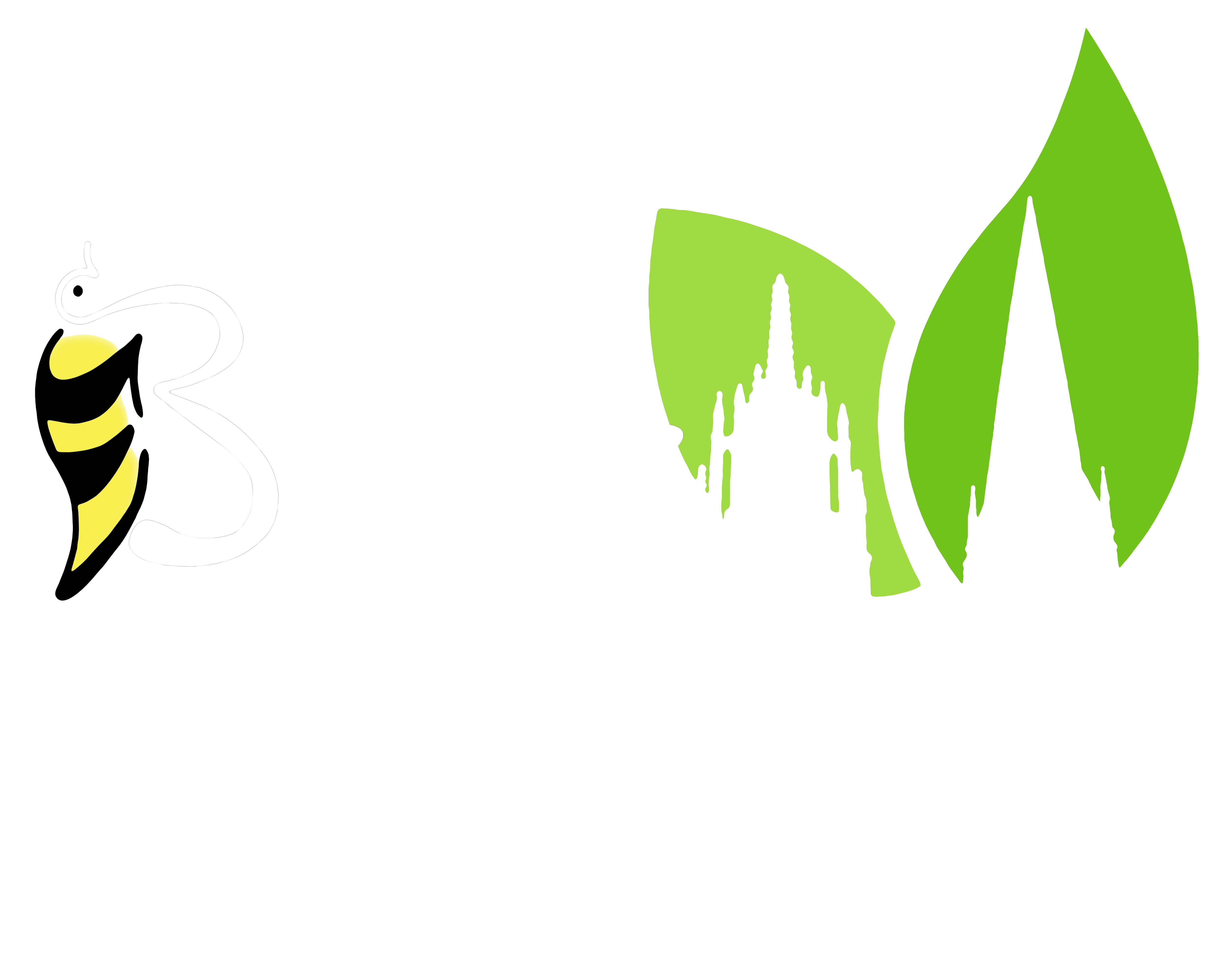 Buzz Community Energy Limited